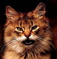 Interesting Links Interesting Links